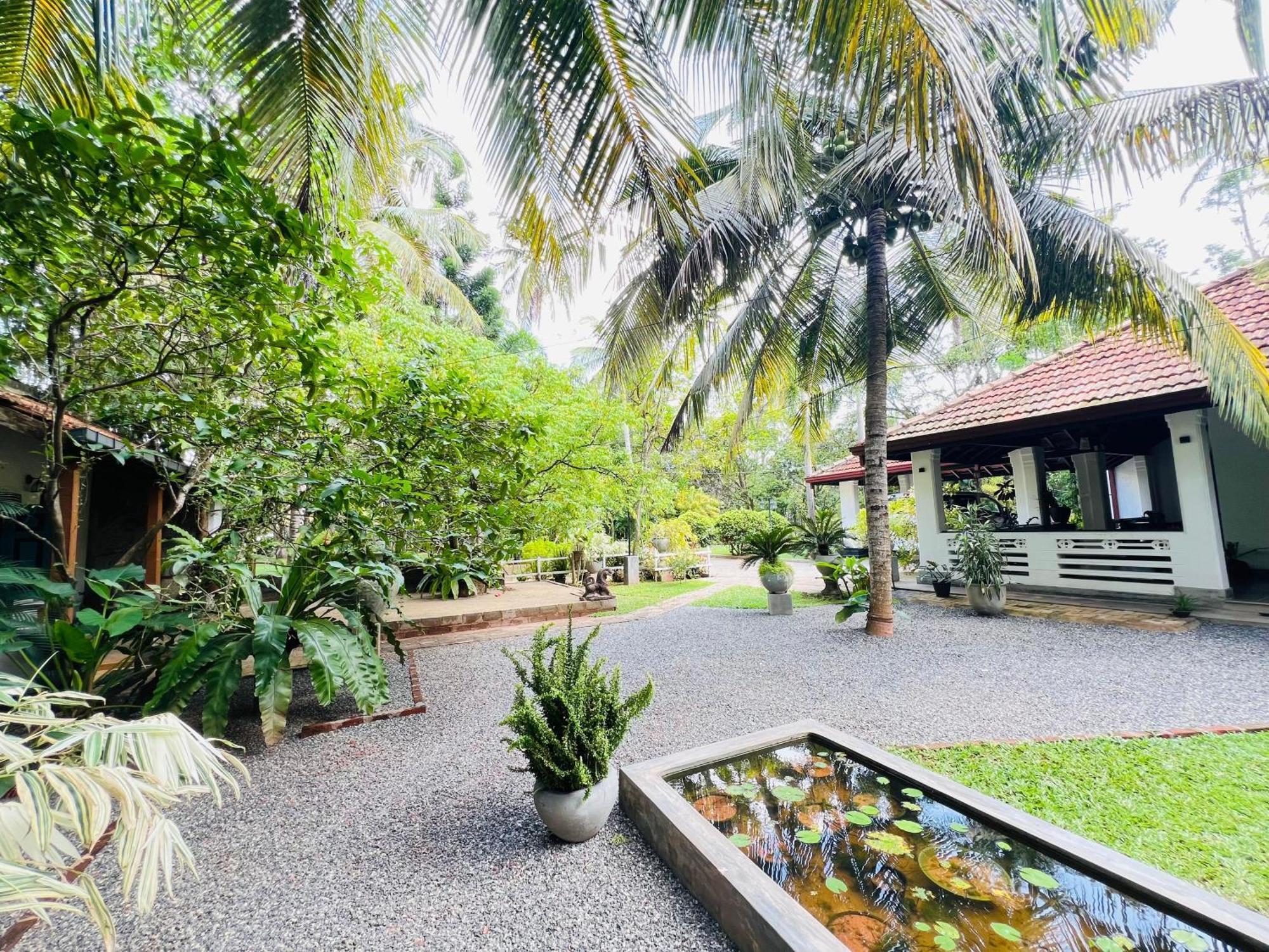 Krishan Villa Negombo Exteriör bild